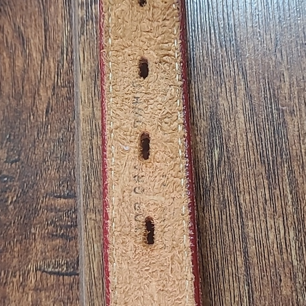 Western Leather Embroidered Belt with Brass Accents Tan, Purple, Yellow, White - Picture 5 of 12